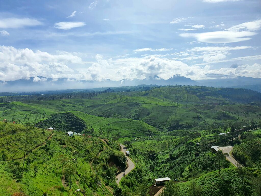 budi anwar b5mrvgauyjk unsplash